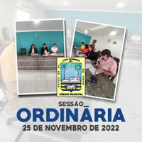 Câmara discute Projetos e Requerimento durante Sessão Ordinária de 25/11/2022