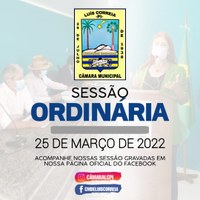 Câmara discute Projetos e Requerimentos durante Sessão Ordinária de 25/03/2022