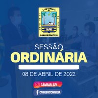 Câmara discute Requerimentos e Projetos durante Sessão Ordinária de 08/04/2022